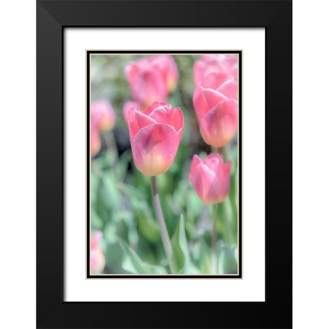 Inventions Of Chemistry Black Modern Wood Framed Art Print with Double Matting by DeLuca, Pat