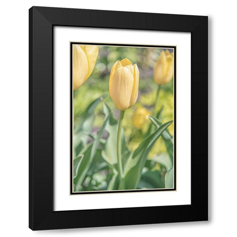 Obsequious Traditions Black Modern Wood Framed Art Print with Double Matting by DeLuca, Pat