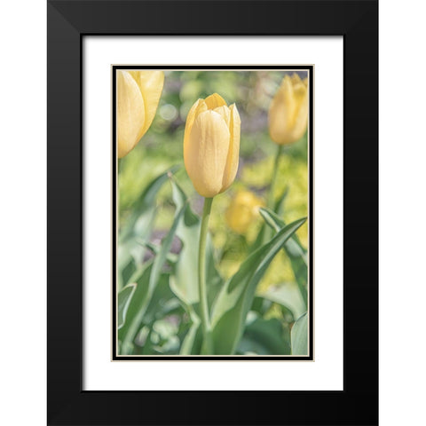 Obsequious Traditions Black Modern Wood Framed Art Print with Double Matting by DeLuca, Pat