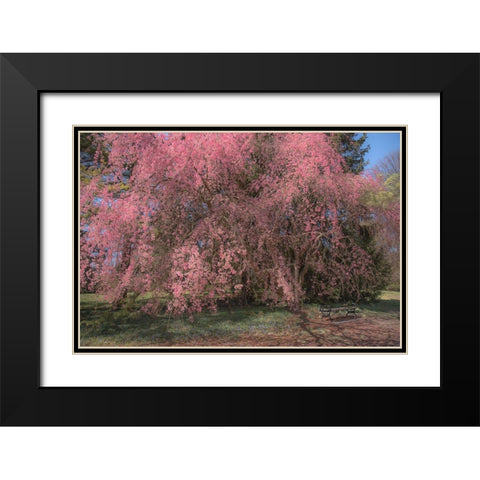 Spectacular Message Black Modern Wood Framed Art Print with Double Matting by DeLuca, Pat