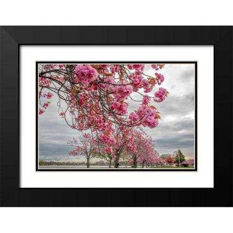 Spiritual Switch 1 Black Modern Wood Framed Art Print with Double Matting by DeLuca, Pat