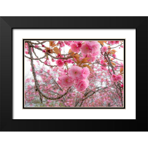 Spiritual Switch 2 Black Modern Wood Framed Art Print with Double Matting by DeLuca, Pat