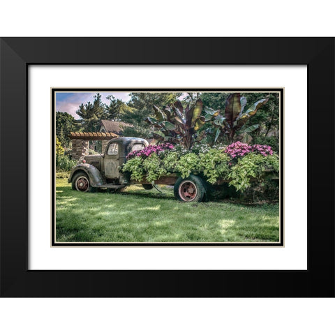 Sympathy Of Generosity Black Modern Wood Framed Art Print with Double Matting by DeLuca, Pat