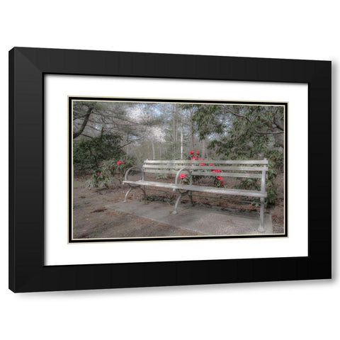 Familiar Romance Black Modern Wood Framed Art Print with Double Matting by DeLuca, Pat