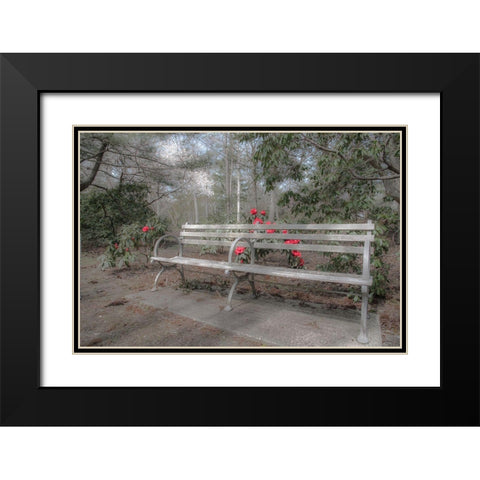 Familiar Romance Black Modern Wood Framed Art Print with Double Matting by DeLuca, Pat