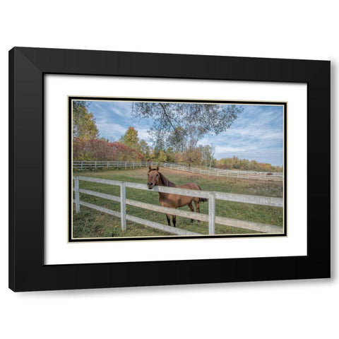 Perseverance Of Amazement Black Modern Wood Framed Art Print with Double Matting by DeLuca, Pat