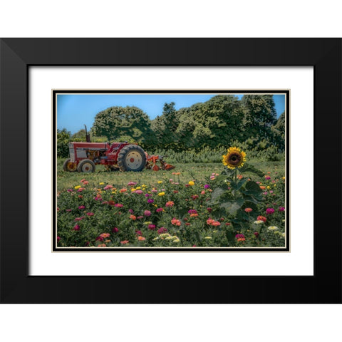 James Port Black Modern Wood Framed Art Print with Double Matting by DeLuca, Pat