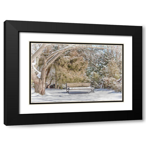 Arboretum 1 Black Modern Wood Framed Art Print with Double Matting by DeLuca, Pat