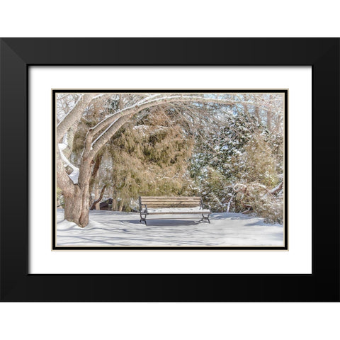 Arboretum 1 Black Modern Wood Framed Art Print with Double Matting by DeLuca, Pat
