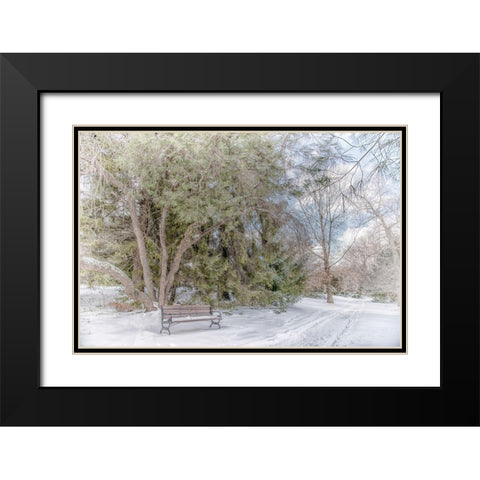 Arboretum 2 Black Modern Wood Framed Art Print with Double Matting by DeLuca, Pat