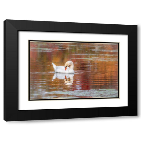 Mill Pond October Black Modern Wood Framed Art Print with Double Matting by DeLuca, Pat