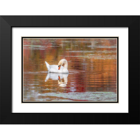 Mill Pond October Black Modern Wood Framed Art Print with Double Matting by DeLuca, Pat