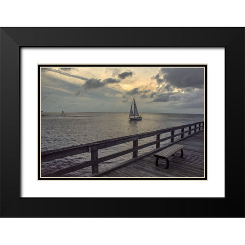 Cedar Beach Black Modern Wood Framed Art Print with Double Matting by DeLuca, Pat