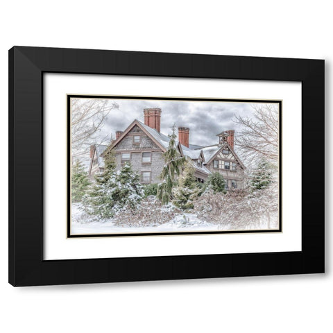 Aboretum December 1 Black Modern Wood Framed Art Print with Double Matting by DeLuca, Pat