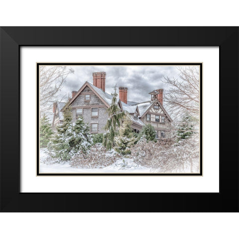 Aboretum December 1 Black Modern Wood Framed Art Print with Double Matting by DeLuca, Pat