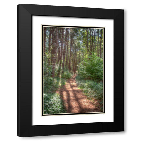 Hollow Fall Black Modern Wood Framed Art Print with Double Matting by DeLuca, Pat