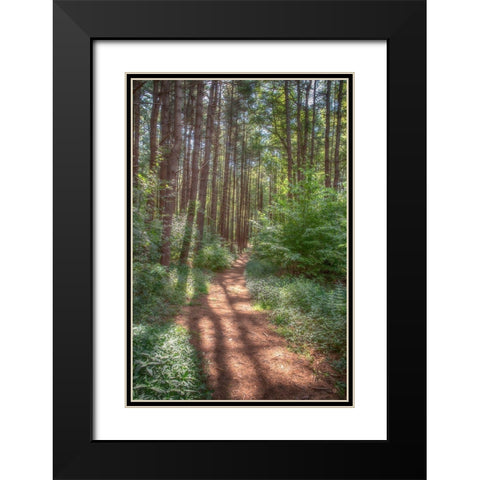 Hollow Fall Black Modern Wood Framed Art Print with Double Matting by DeLuca, Pat
