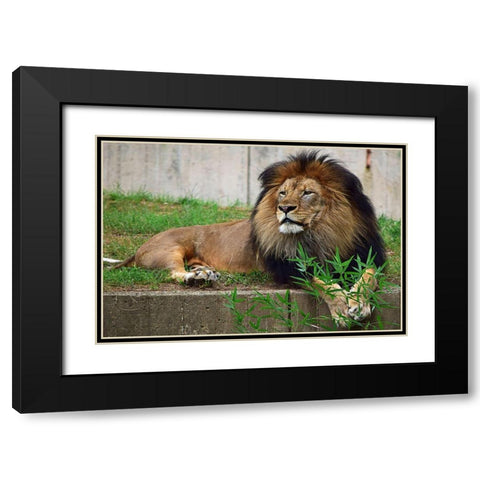 Brilliant Direction Black Modern Wood Framed Art Print with Double Matting by DeLuca, Pat