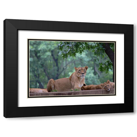 Pride Of Purpose Black Modern Wood Framed Art Print with Double Matting by DeLuca, Pat