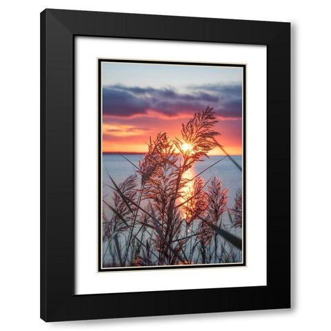 Exhilarated Potential Black Modern Wood Framed Art Print with Double Matting by DeLuca, Pat