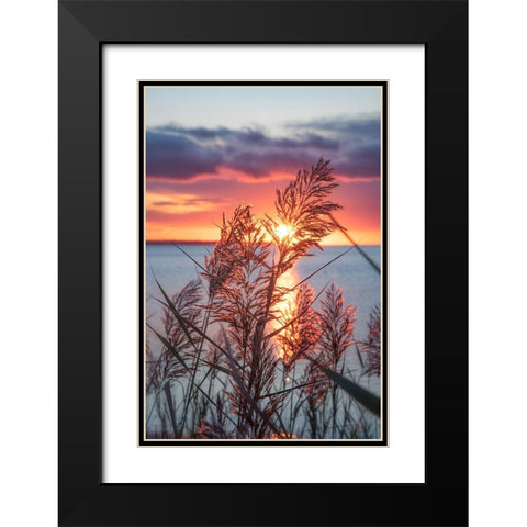 Exhilarated Potential Black Modern Wood Framed Art Print with Double Matting by DeLuca, Pat