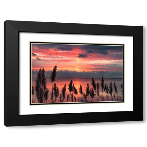 Aspiring Priority Black Modern Wood Framed Art Print with Double Matting by DeLuca, Pat