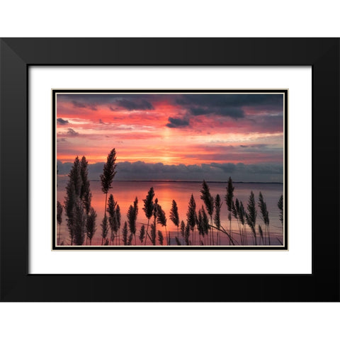 Aspiring Priority Black Modern Wood Framed Art Print with Double Matting by DeLuca, Pat