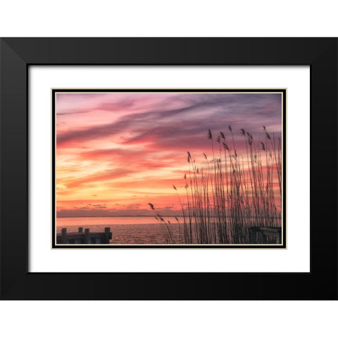 Exclusive Liberty Black Modern Wood Framed Art Print with Double Matting by DeLuca, Pat