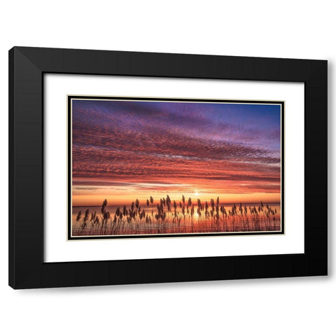 Familiar Romance Black Modern Wood Framed Art Print with Double Matting by DeLuca, Pat