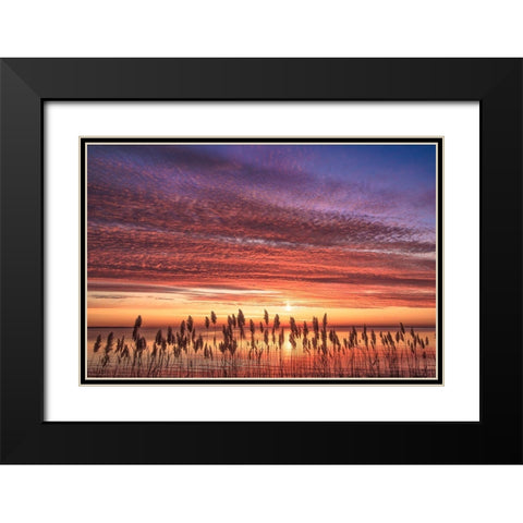 Familiar Romance Black Modern Wood Framed Art Print with Double Matting by DeLuca, Pat