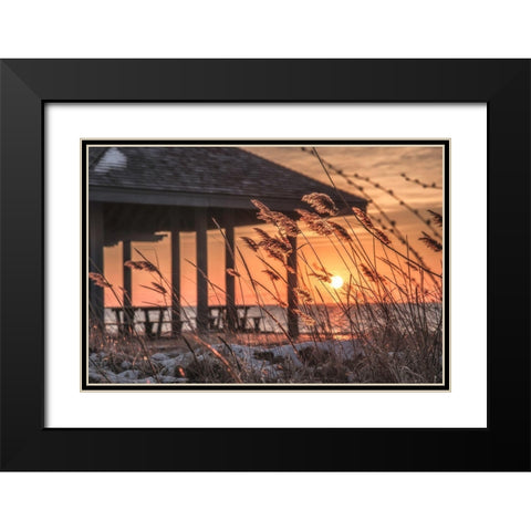 Imminent Loyalty Black Modern Wood Framed Art Print with Double Matting by DeLuca, Pat