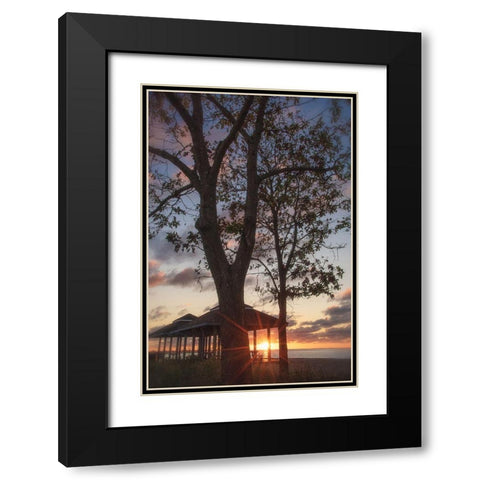 Fragile Shadows Black Modern Wood Framed Art Print with Double Matting by DeLuca, Pat