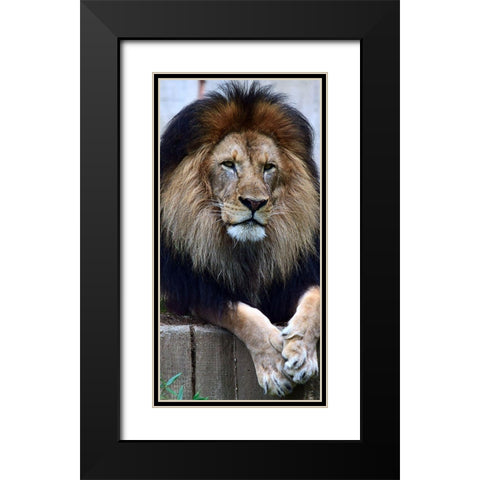 Strength And Dedication Black Modern Wood Framed Art Print with Double Matting by DeLuca, Pat