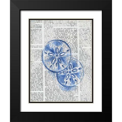 Written Sand Dollars Black Modern Wood Framed Art Print with Double Matting by Varacek, Pam