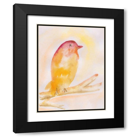 Western Tanager Black Modern Wood Framed Art Print with Double Matting by Varacek, Pam