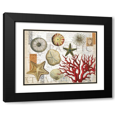 Sea Treasures Black Modern Wood Framed Art Print with Double Matting by Allen, Candace