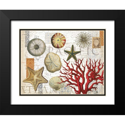 Sea Treasures Black Modern Wood Framed Art Print with Double Matting by Allen, Candace