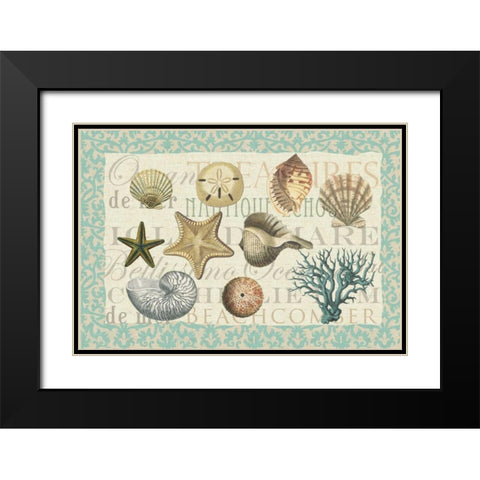Sea Shell Collection Black Modern Wood Framed Art Print with Double Matting by Allen, Candace