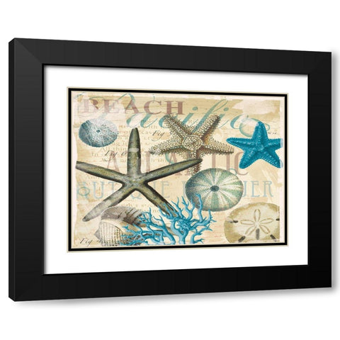 Beach Shells R1 Black Modern Wood Framed Art Print with Double Matting by Allen, Candace
