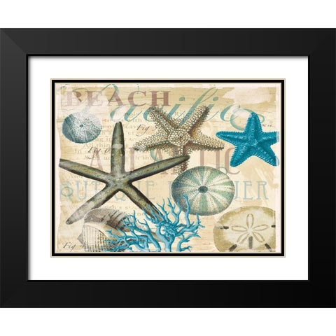 Beach Shells R1 Black Modern Wood Framed Art Print with Double Matting by Allen, Candace