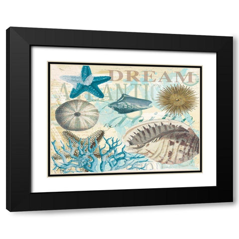 Dream Shells R1 Black Modern Wood Framed Art Print with Double Matting by Allen, Candace