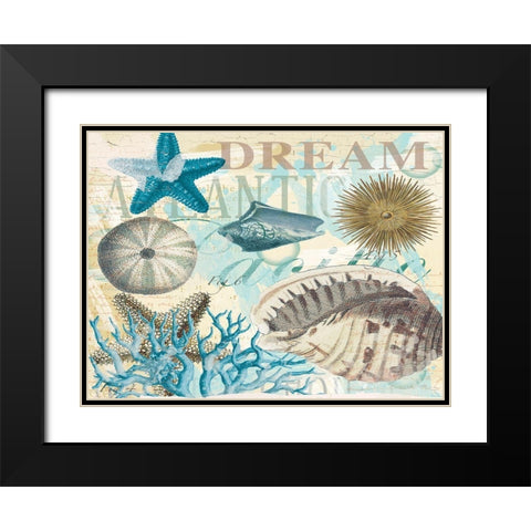 Dream Shells R1 Black Modern Wood Framed Art Print with Double Matting by Allen, Candace