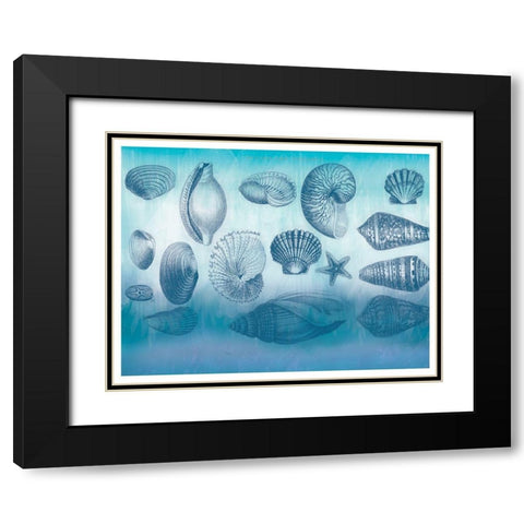 Watercolor Coast Shells Black Modern Wood Framed Art Print with Double Matting by Allen, Candace