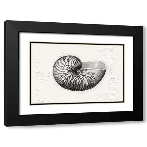 Shell Black Modern Wood Framed Art Print with Double Matting by Lula Bijoux and Company