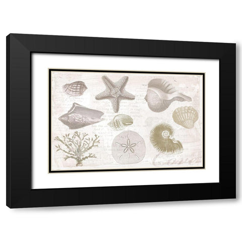 Soft Shell Collage Black Modern Wood Framed Art Print with Double Matting by Lula Bijoux and Company