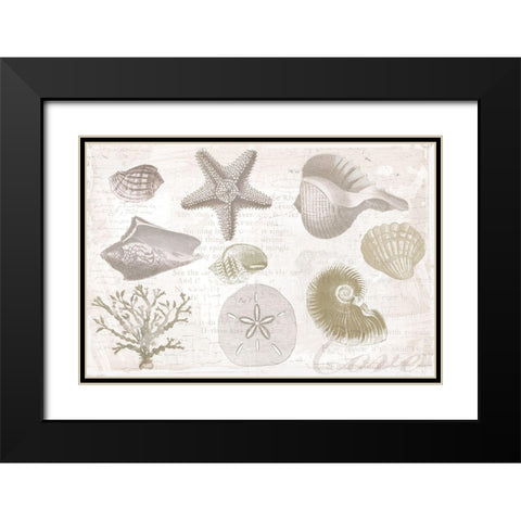 Soft Shell Collage Black Modern Wood Framed Art Print with Double Matting by Lula Bijoux and Company