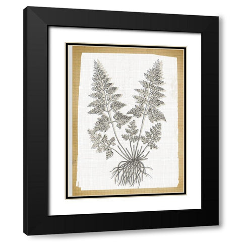Farmhouse Ferns 1 Black Modern Wood Framed Art Print with Double Matting by Lula Bijoux and Company