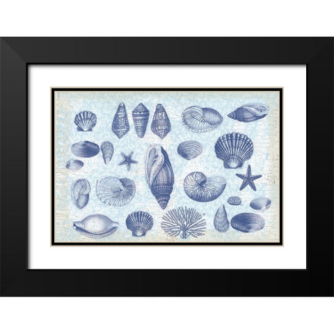 Casual Coastal Shells Black Modern Wood Framed Art Print with Double Matting by Lula Bijoux and Company