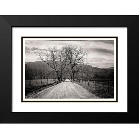 Less Traveled Black Modern Wood Framed Art Print with Double Matting by Taylor, Glenn
