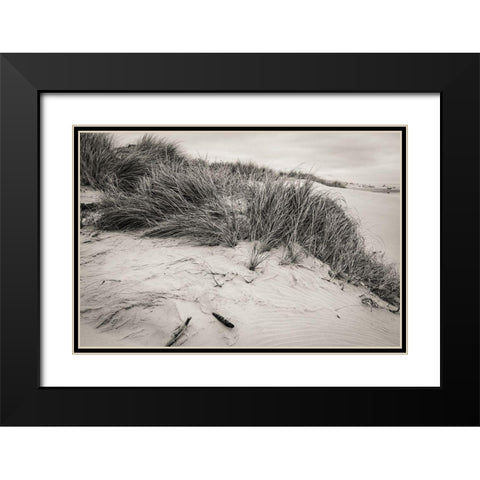 Beachy Dunes Black Modern Wood Framed Art Print with Double Matting by Taylor, Glenn